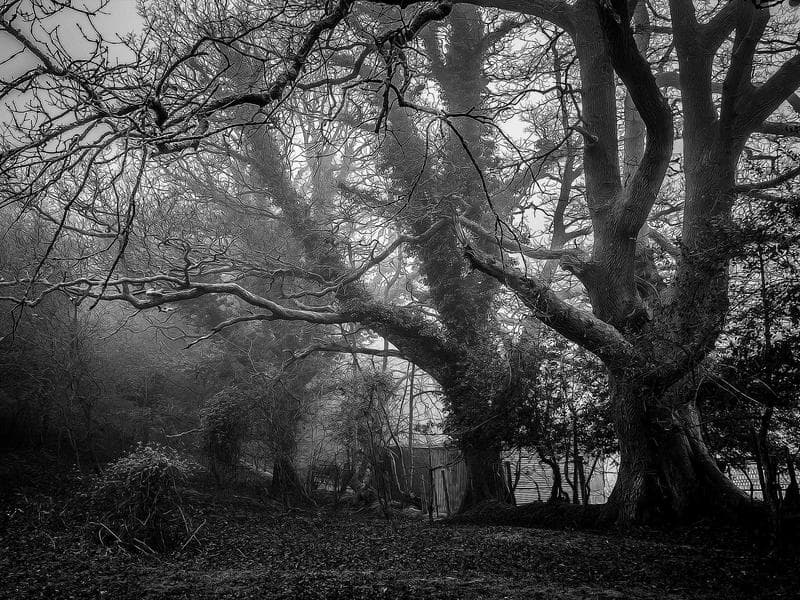 Iowa Heartland Candle